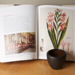 ruukku ja avoin kirja pöydällä