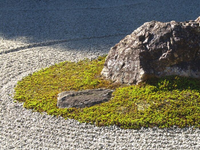 Kiviä, hiekkaa ja sammalta