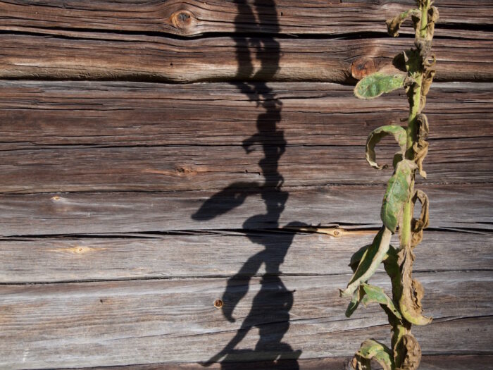 Tämäkö taidetta? (3) Tämäkö taidetta? (3)